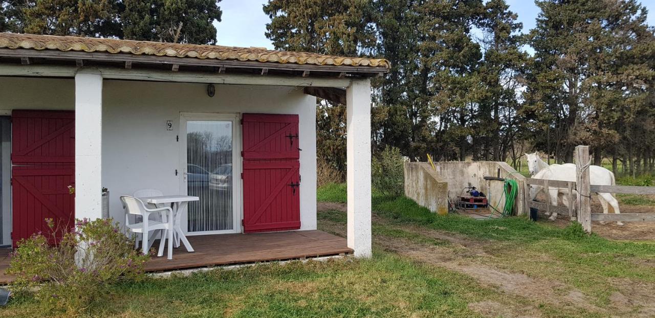 Mas Des Cypres Apartment Saintes-Maries-de-la-Mer Exterior photo